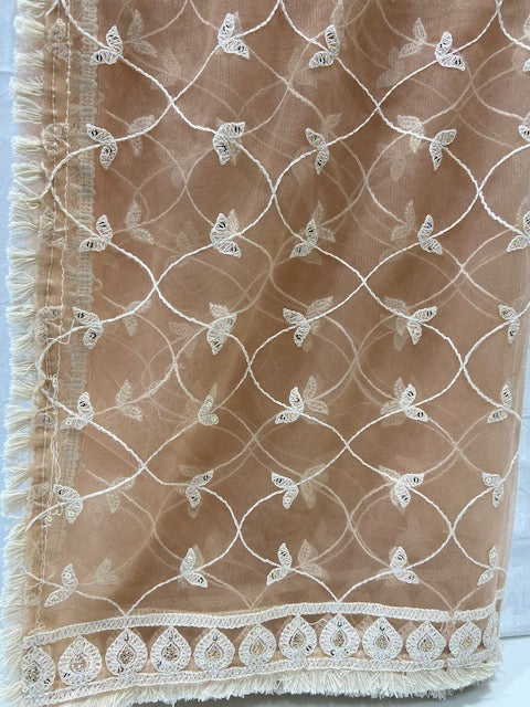 Earthy peach chikankari lucknowi thread and sequin net embroidered dupatta 4566