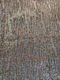 Nude sequin allover lycra net embroidered fabric (60'') 3613